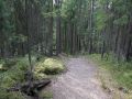 Seitsemisen retki 18.5.2008