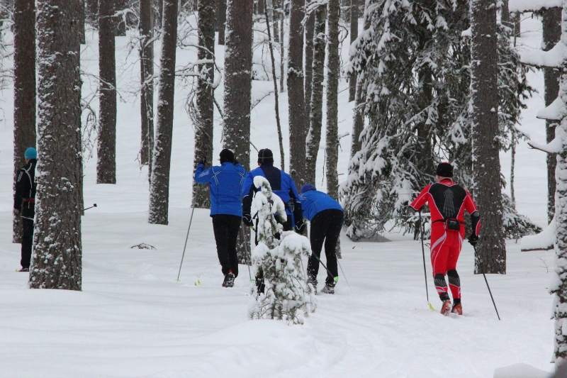 Klikkaamalla seuraava kuva