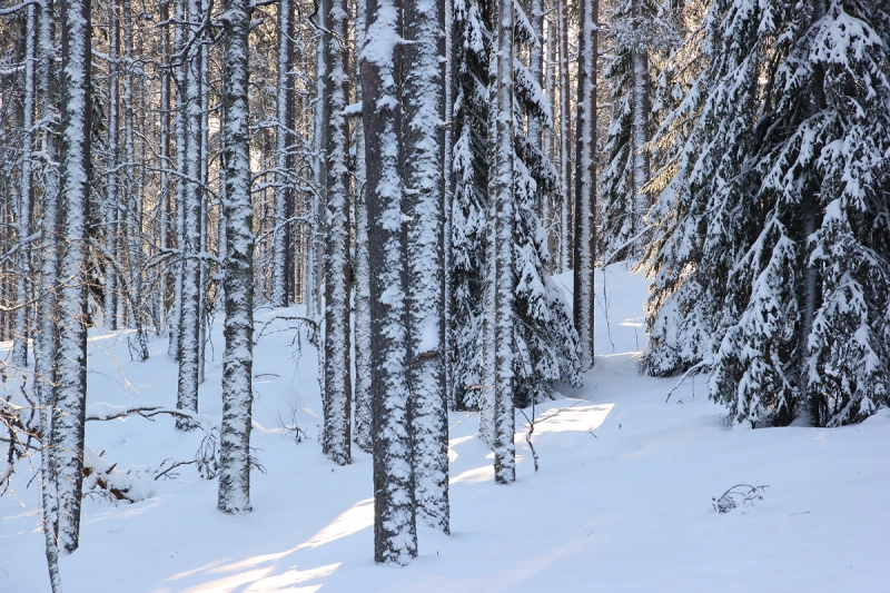 Klikkaamalla seuraava kuva