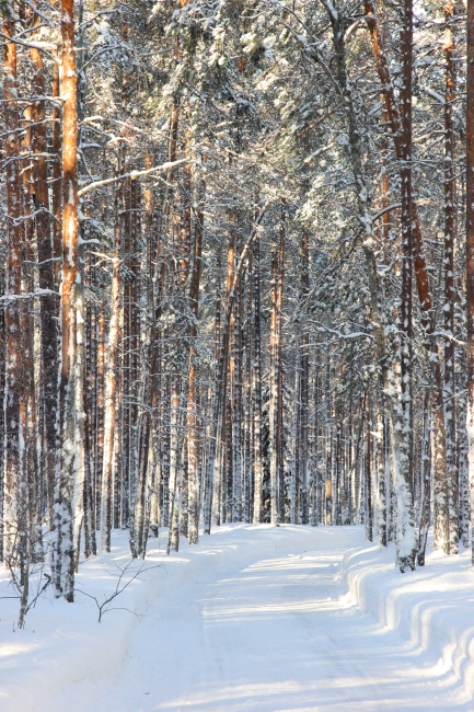 Klikkaamalla seuraava kuva