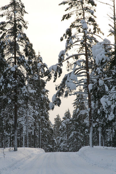 Klikkaamalla seuraava kuva