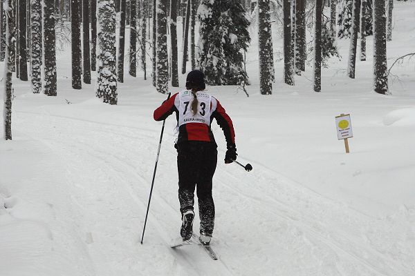 Klikkaamalla seuraava kuva