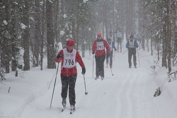 Klikkaamalla seuraava kuva