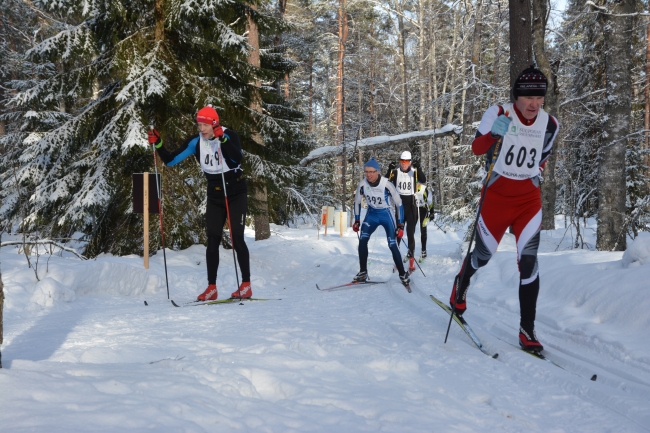 Klikkaamalla seuraava kuva