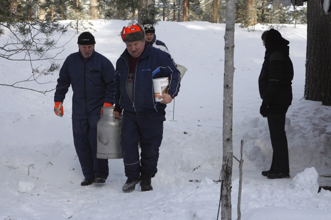 Klikkaamalla seuraava kuva