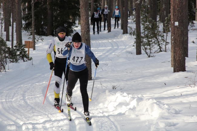 Klikkaamalla seuraava kuva