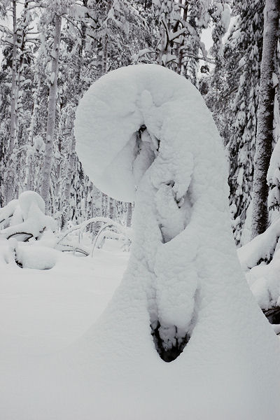 Klikkaamalla seuraava kuva