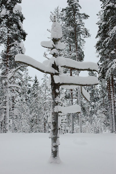 Klikkaamalla seuraava kuva