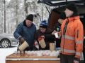  (pm-kuvax_78.jpg)