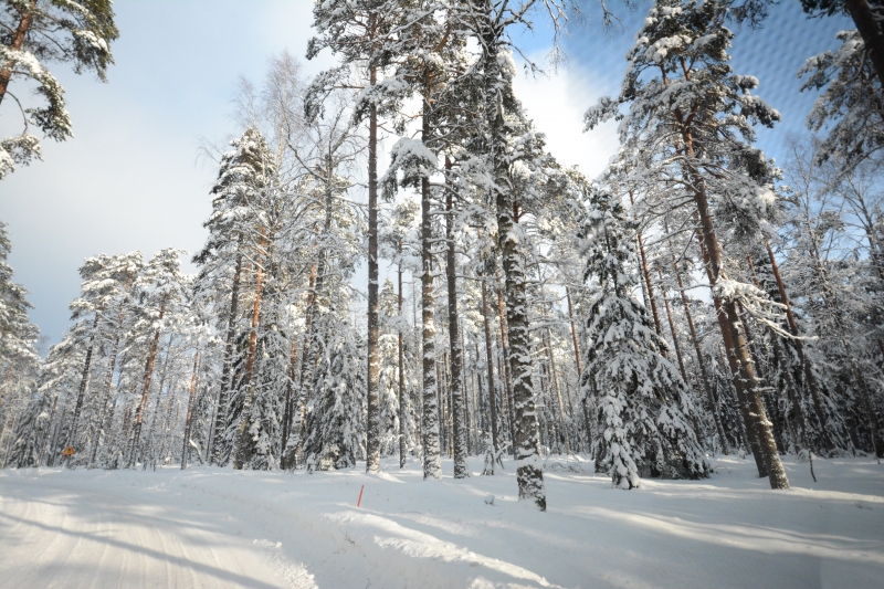 Klikkaamalla seuraava kuva