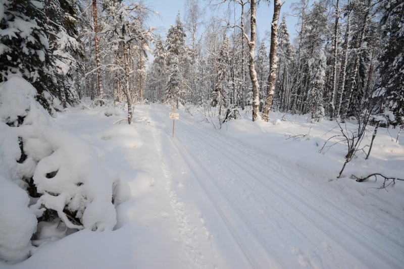 Klikkaamalla seuraava kuva