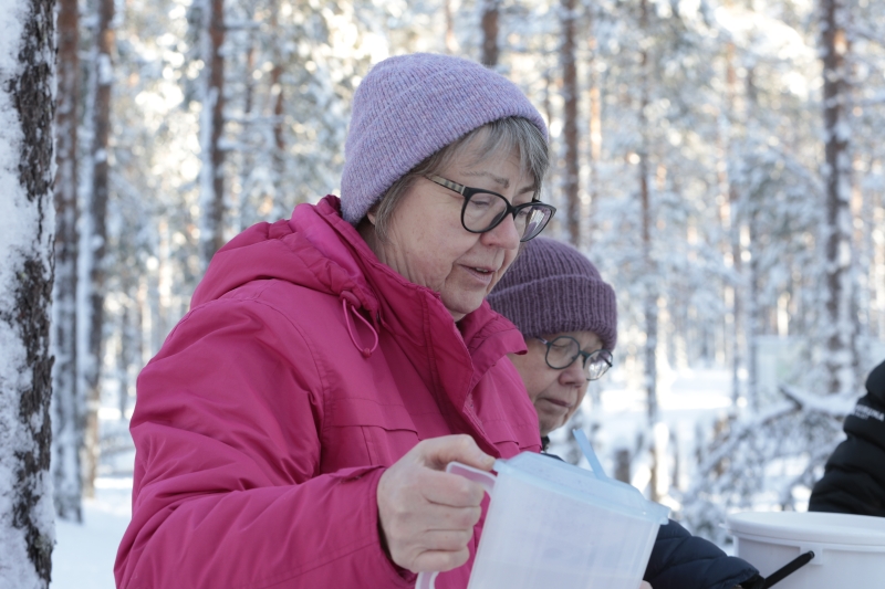 Klikkaamalla seuraava kuva